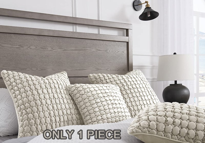 COCOPLOCEUS 1 Piece Euro Sham Beige Gray Boho 24x24 Pillow Covers Decorative Farmhouse Pillow Covers Velvet Square Cushion Covers Soft Bubble Texture for Couch Sofa Bed Bedroom Car Living Room - Image 2